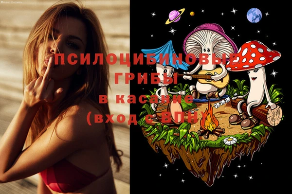 прущая мука Алексин