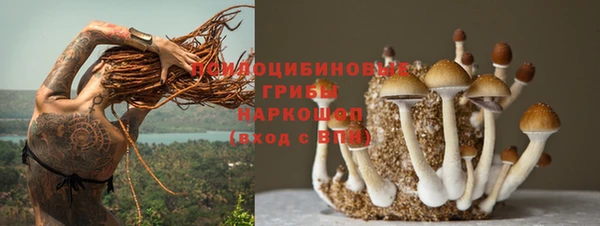 ALPHA PVP Алзамай