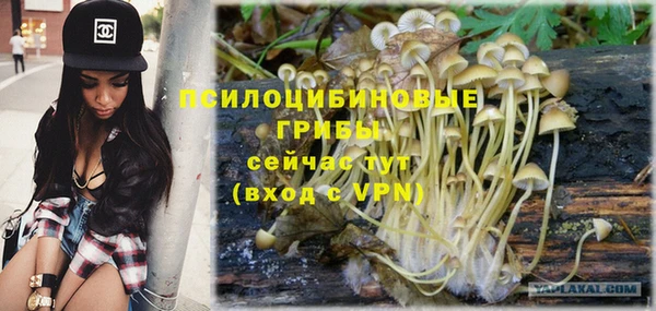 ALPHA PVP Алзамай
