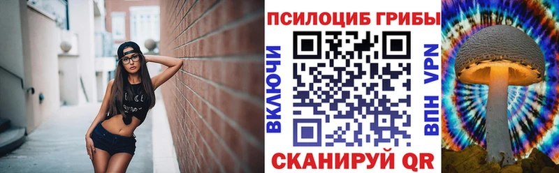 Галлюциногенные грибы MAGIC MUSHROOMS Андреаполь